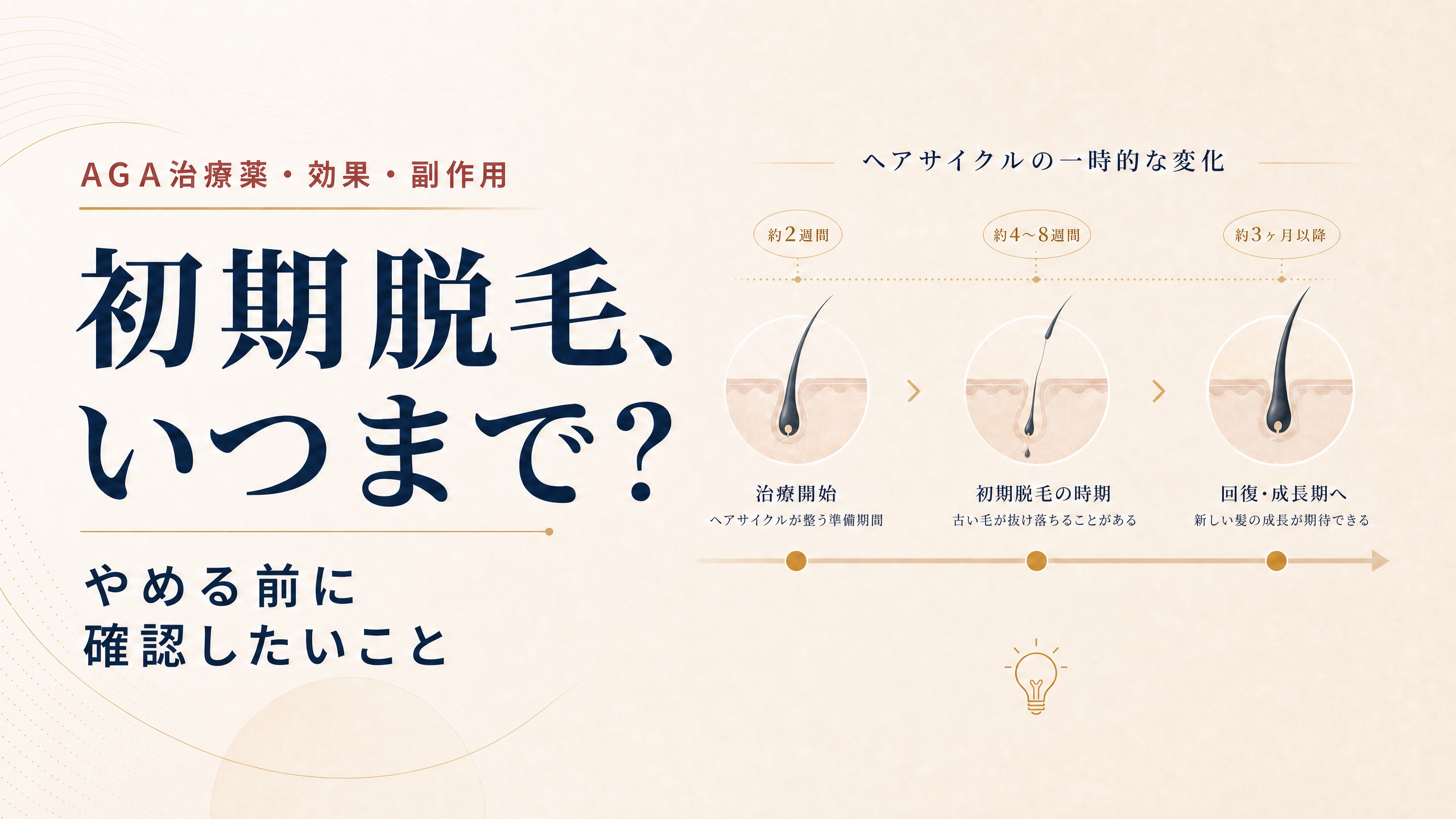 毛周期のタイムラインを用いた初期脱毛に関する記事アイキャッチ
